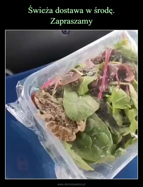 
    Świeża dostawa w środę. Zapraszamy
