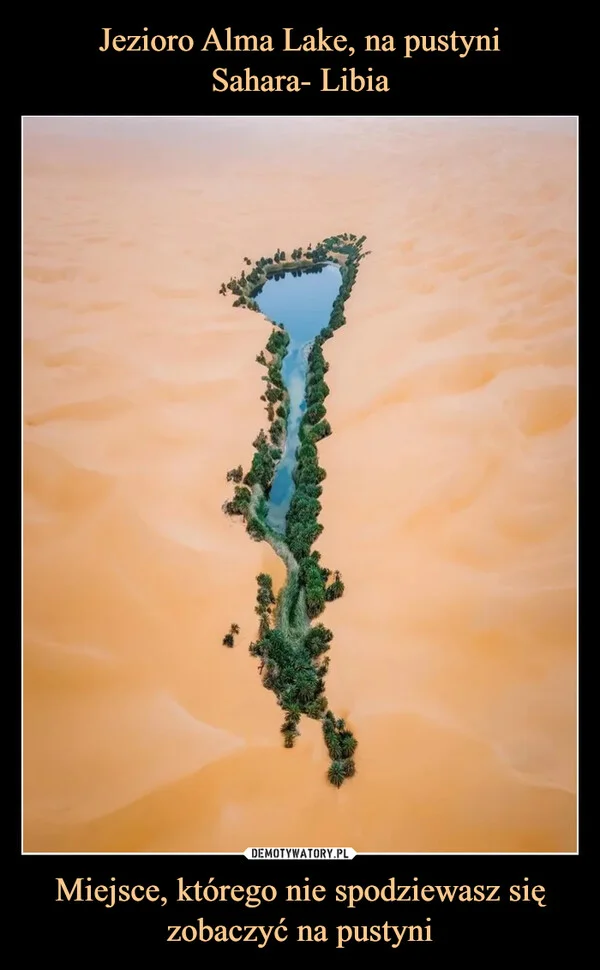 
    Jezioro Alma Lake, na pustyni Sahara- Libia Miejsce, którego nie spodziewasz się zobaczyć na pustyni
