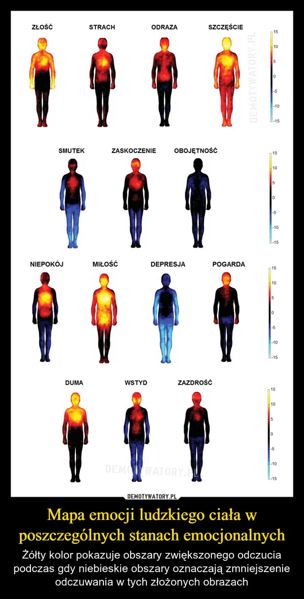 
    Mapa emocji ludzkiego ciała w poszczególnych stanach emocjonalnych