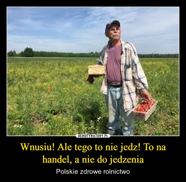 
    Wnusiu! Ale tego to nie jedz! To na handel, a nie do jedzenia