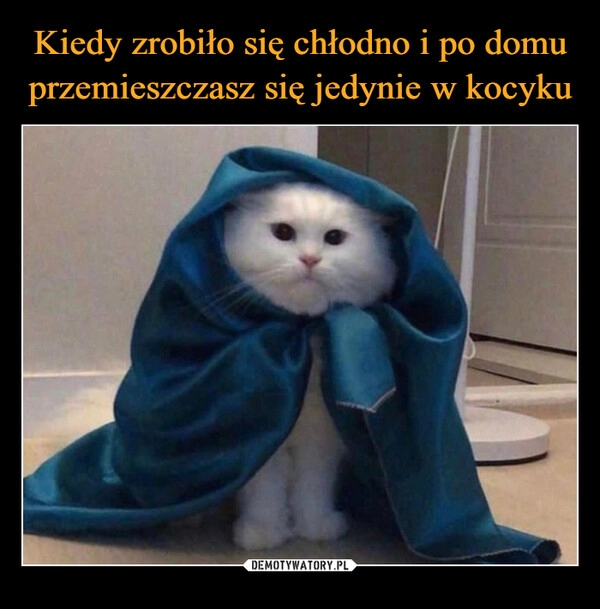 
    Kiedy zrobiło się chłodno i po domu przemieszczasz się jedynie w kocyku