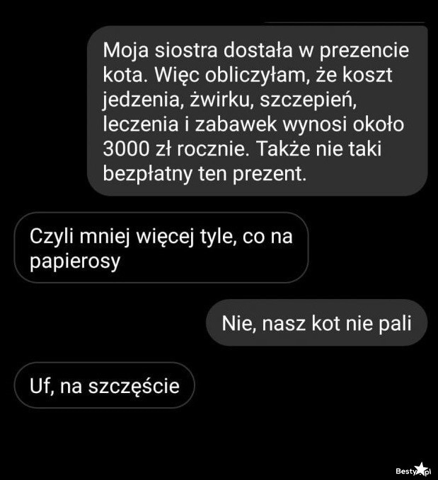 
    Kot w prezencie 