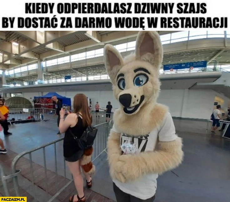 
    Kiedy odpierdzielasz dziwny szajs by dostać za darmo wodę w restauracji przebrany za psa