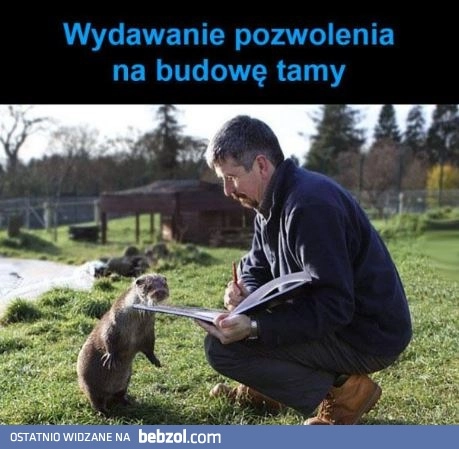 Inżynieria ekstremalna