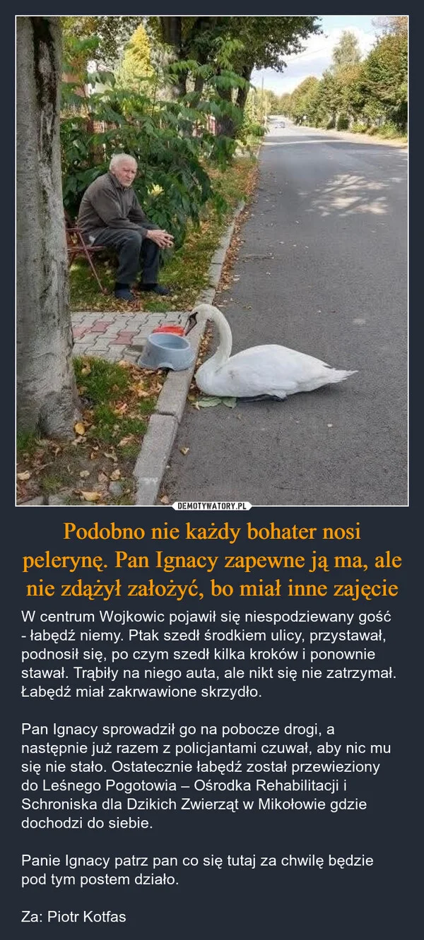 
    Podobno nie każdy bohater nosi pelerynę. Pan Ignacy zapewne ją ma, ale nie zdążył założyć, bo miał inne zajęcie