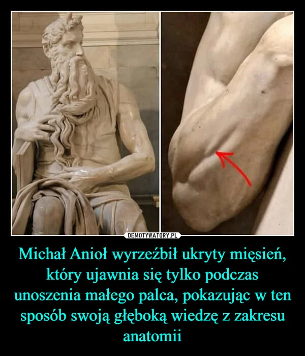 
    Michał Anioł wyrzeźbił ukryty mięsień, który ujawnia się tylko podczas unoszenia małego palca, pokazując w ten sposób swoją głęboką wiedzę z zakresu anatomii