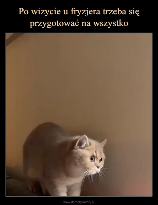 
    Po wizycie u fryzjera trzeba się przygotować na wszystko