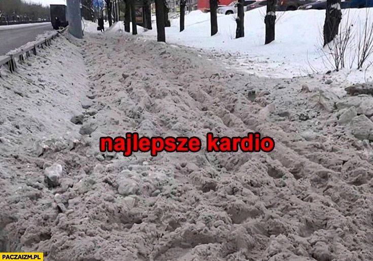 
    Śnieg błoto najlepsze cardio kardio