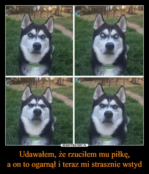
    Udawałem, że rzuciłem mu piłkę,
a on to ogarnął i teraz mi strasznie wstyd