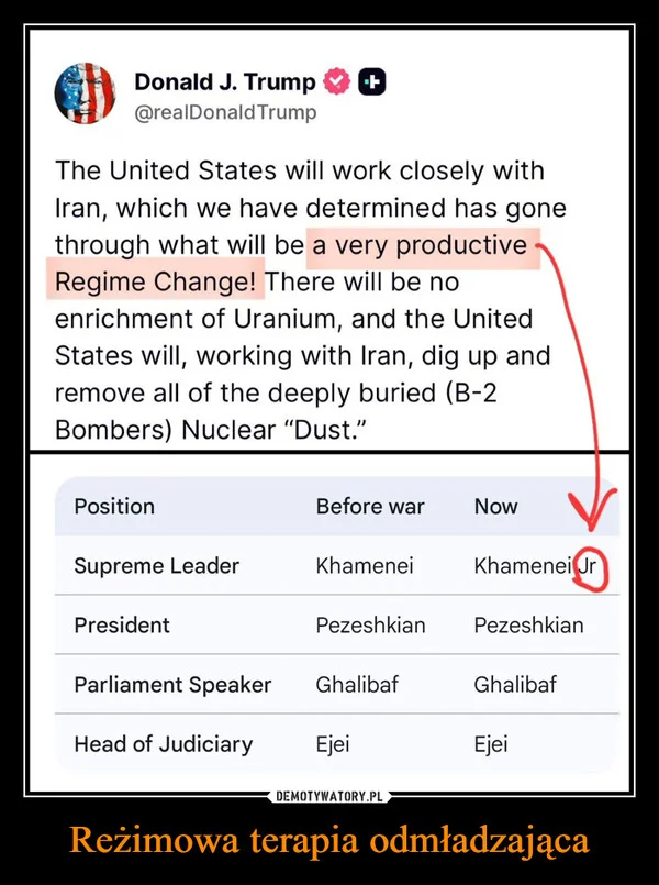 
    Reżimowa terapia odmładzająca