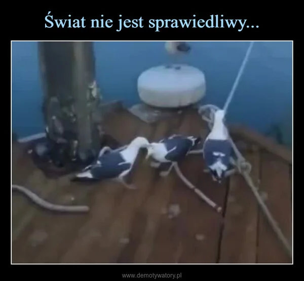 
    Świat nie jest sprawiedliwy...