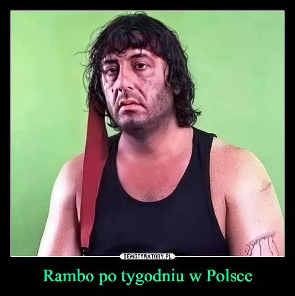 
    Rambo po tygodniu w Polsce