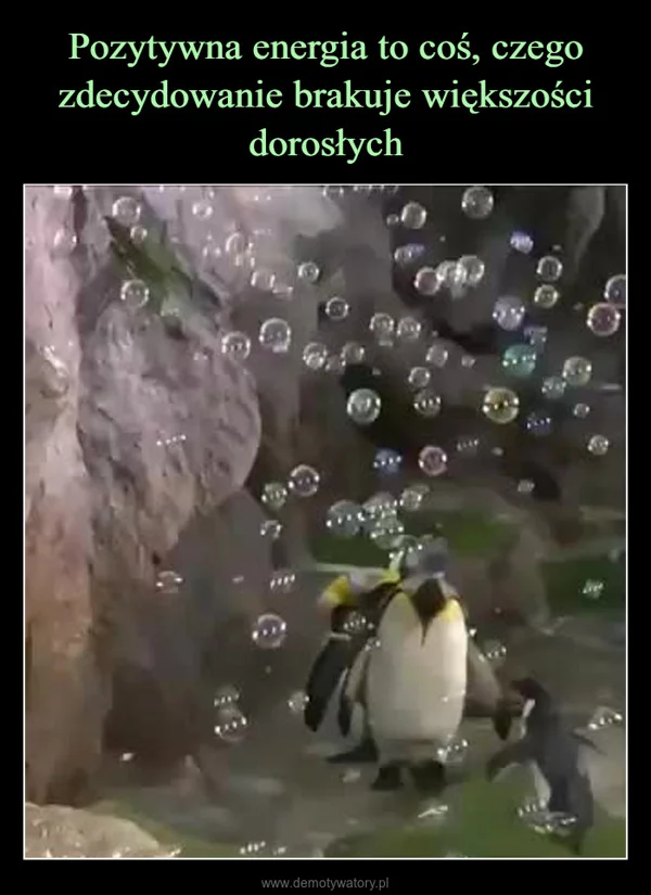 
    Pozytywna energia to coś, czego zdecydowanie brakuje większości dorosłych