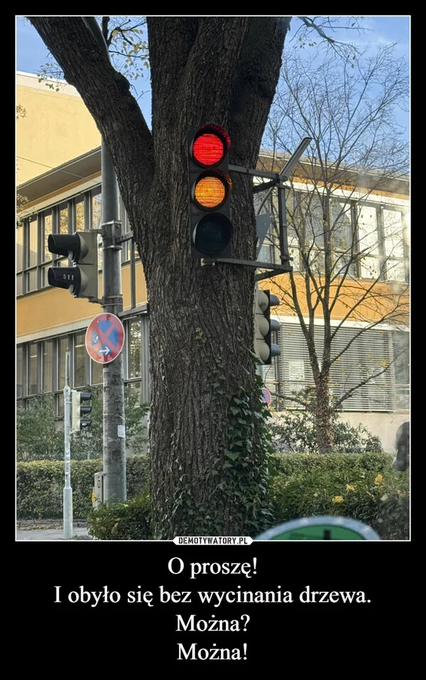 
    O proszę! I obyło się bez wycinania drzewa. Można? Można!