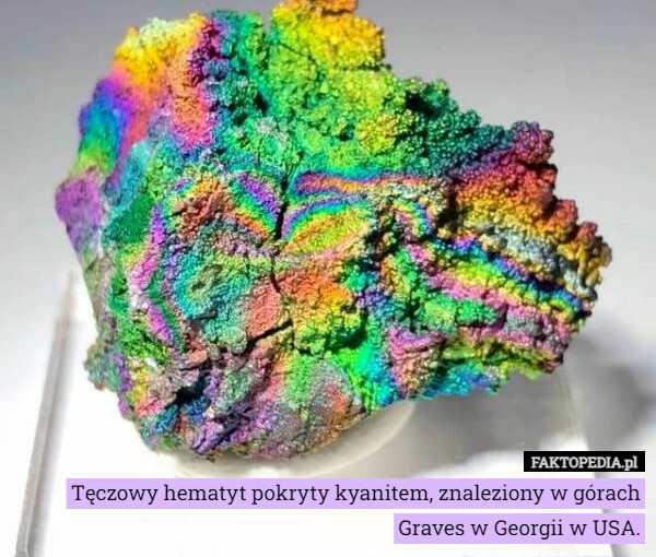 
    Tęczowy hematyt pokryty kyanitem, znaleziony w górach Graves w Georgii w