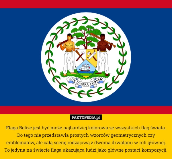 
    Flaga Belize jest być może najbardziej kolorowa ze wszystkich flag świata.