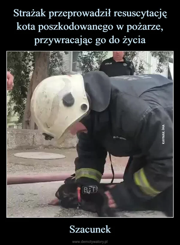 
    Strażak przeprowadził resuscytację kota poszkodowanego w pożarze, przywracając go do życia Szacunek