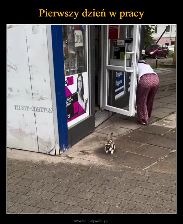 Pierwszy dzień w pracy