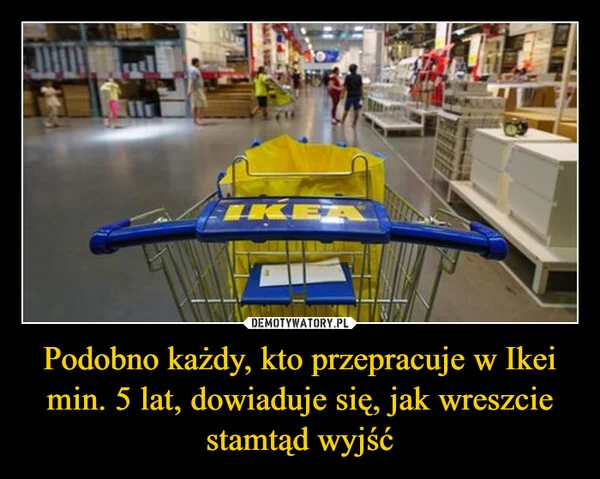
    Podobno każdy, kto przepracuje w Ikei min. 5 lat, dowiaduje się, jak wreszcie stamtąd wyjść