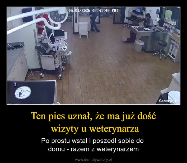 
    Ten pies uznał, że ma już dość wizyty u weterynarza
