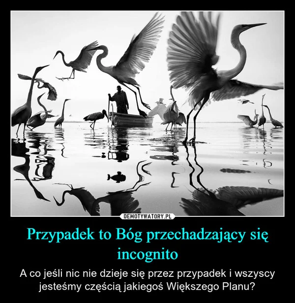 
    Przypadek to Bóg przechadzający się incognito