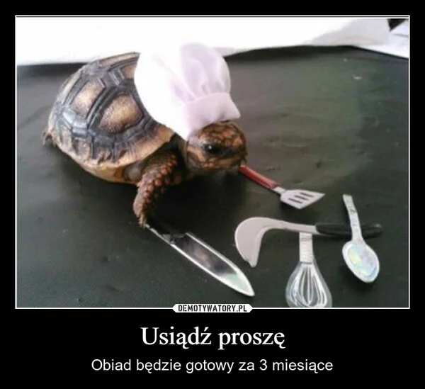 
    Usiądź proszę