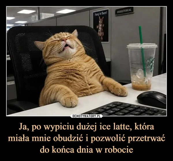 Ja, po wypiciu dużej ice latte, która miała mnie obudzić i pozwolić przetrwać do końca dnia w robocie