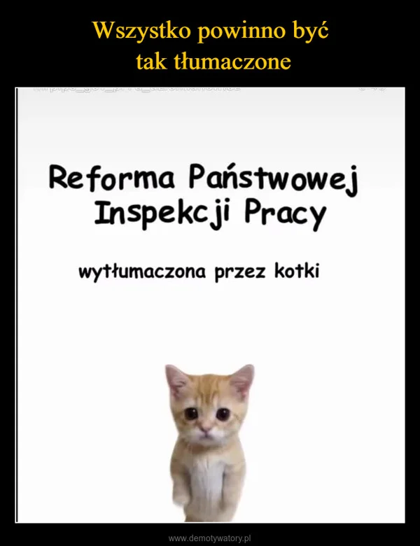 
    Wszystko powinno być tak tłumaczone