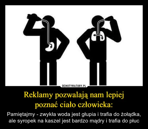 
    Reklamy pozwalają nam lepiej poznać ciało człowieka: