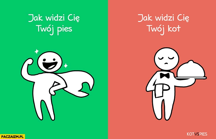 
    Jak widzi Cię Twój pies – superbohater. Jak widzi Cię Twój kot – kelner. Kot vs pies