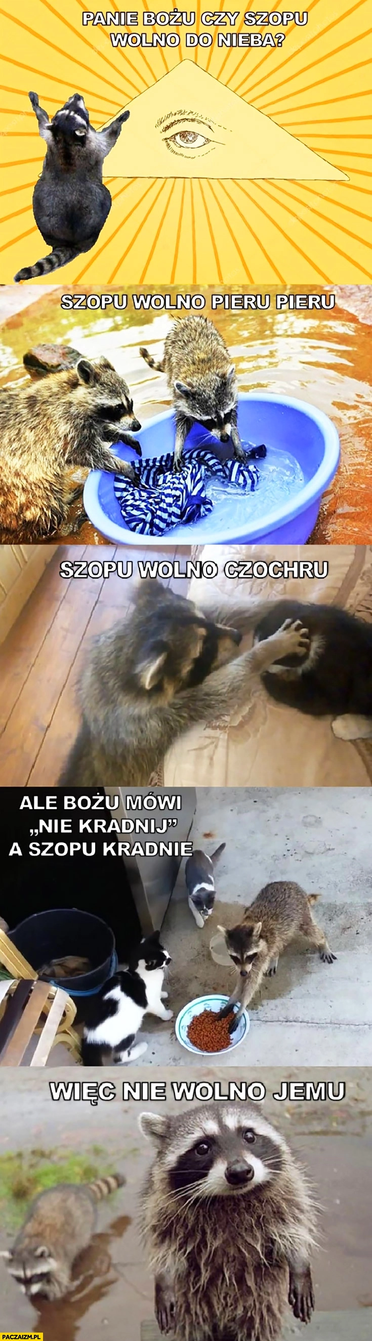 
    Panie Bożu czy szopu wolno do nieba? Szopu wolno pieru pieru, czochru, ale Bozia mówi „nie kradnij”, a szop kradnie wiec nie wolno jemu