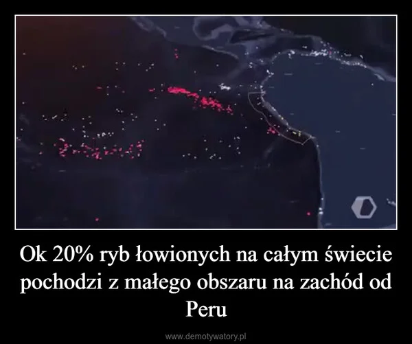 
    Ok 20% ryb łowionych na całym świecie pochodzi z małego obszaru na zachód od Peru