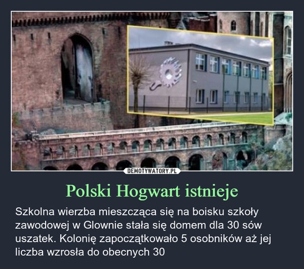 
    Polski Hogwart istnieje