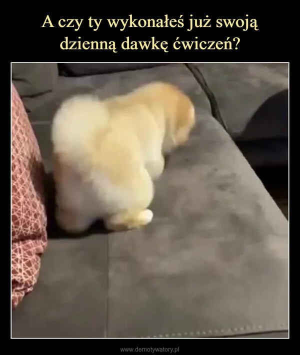 
    A czy ty wykonałeś już swoją dzienną dawkę ćwiczeń?