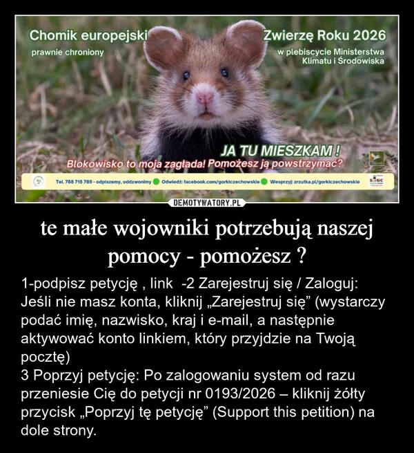 
    te małe wojowniki potrzebują naszej pomocy - pomożesz ?