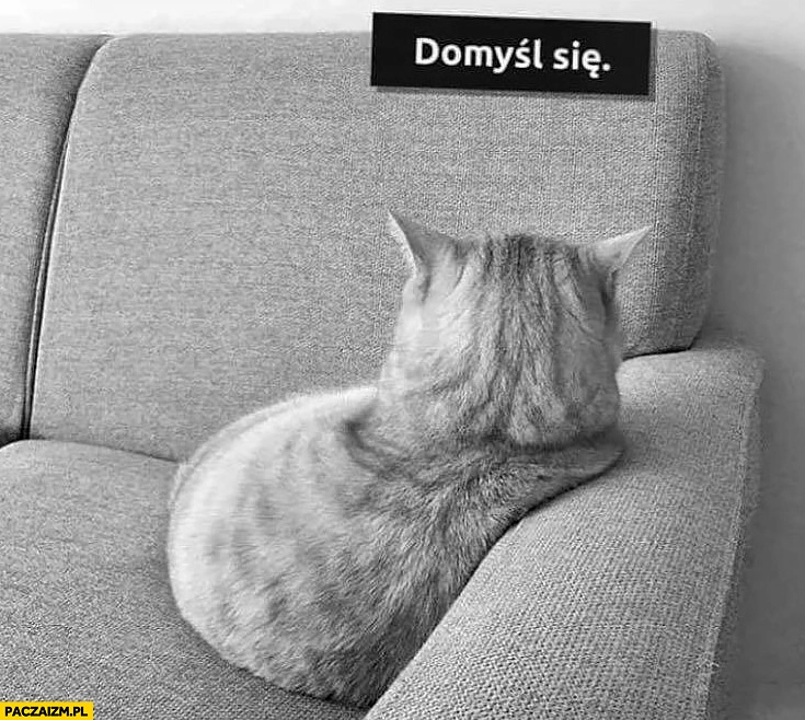 
    Domyśl się obrażony odwrócony kot z fochem