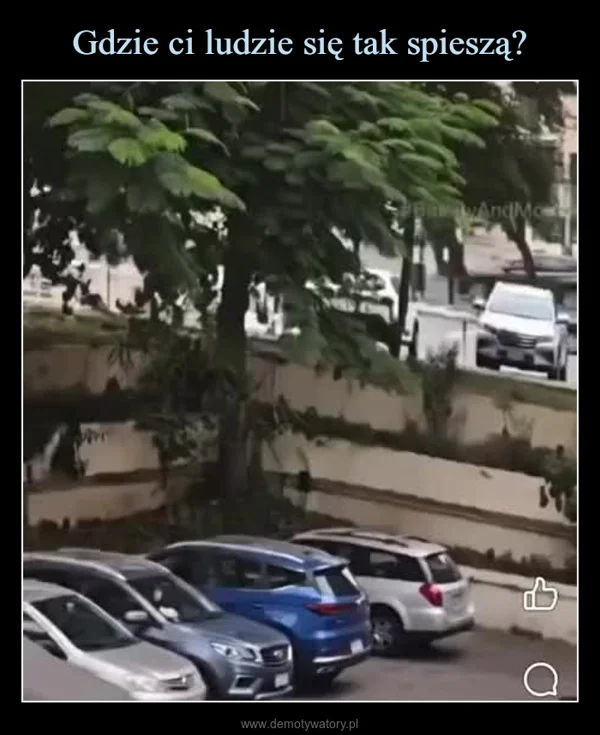 
    Gdzie ci ludzie się tak spieszą?