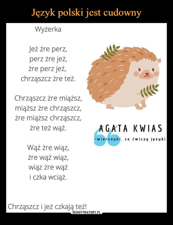 
    Język polski jest cudowny