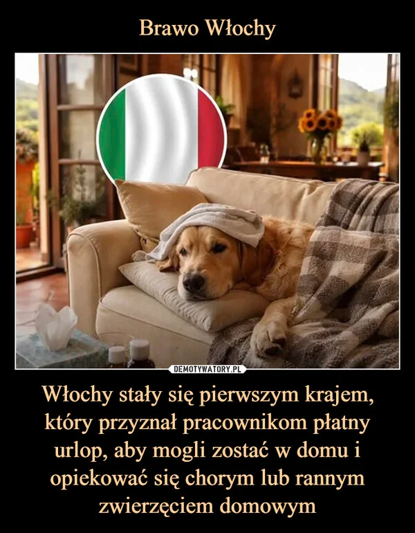 
    Brawo Włochy Włochy stały się pierwszym krajem, który przyznał pracownikom płatny urlop, aby mogli zostać w domu i opiekować się chorym lub rannym zwierzęciem domowym