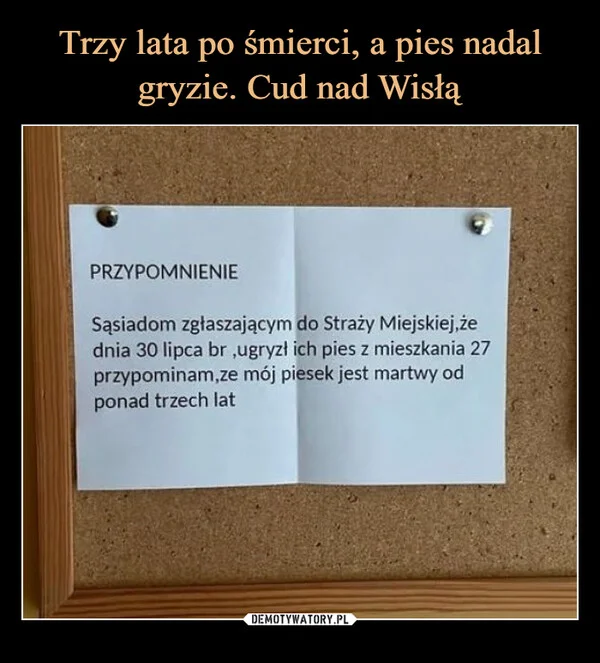 
    Trzy lata po śmierci, a pies nadal gryzie. Cud nad Wisłą