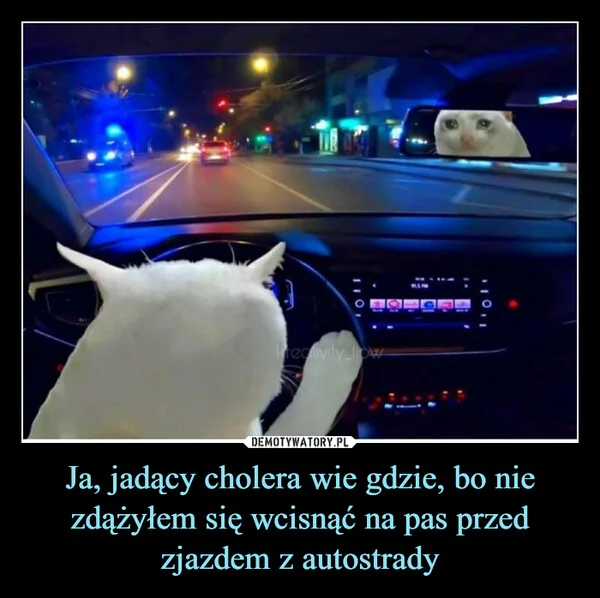 
    Ja, jadący cholera wie gdzie, bo nie zdążyłem się wcisnąć na pas przed zjazdem z autostrady