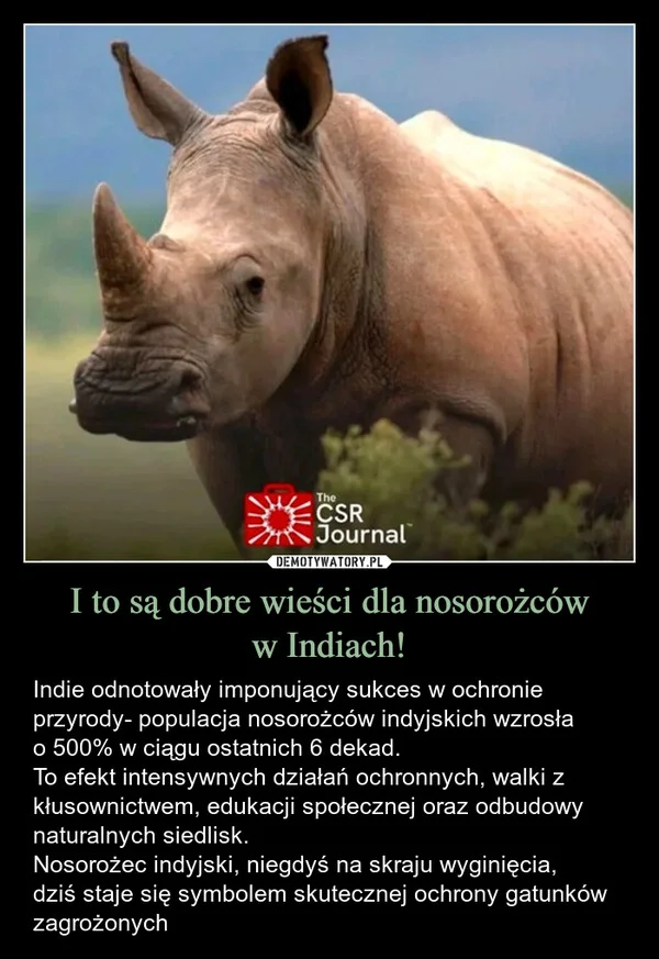 
    I to są dobre wieści dla nosorożców w Indiach!