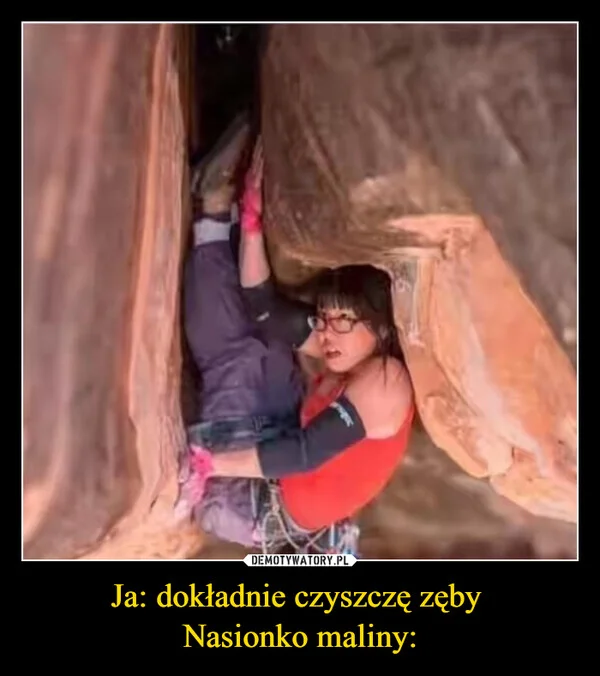 
    Ja: dokładnie czyszczę zęby Nasionko maliny: