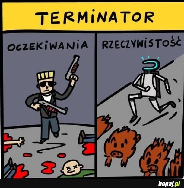 
    Jaki kraj taki terminator.