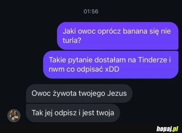 
    Owoc