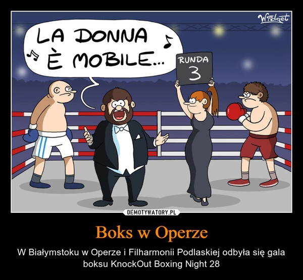 
    Boks w Operze