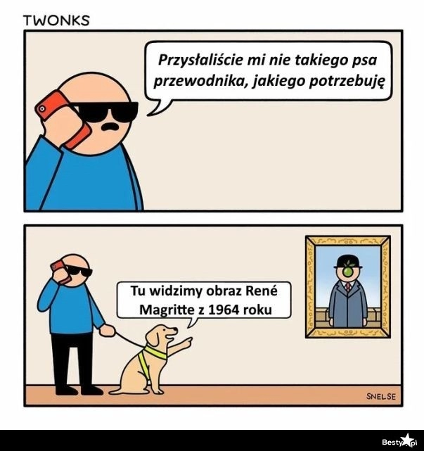 
    Pies przewodnik 