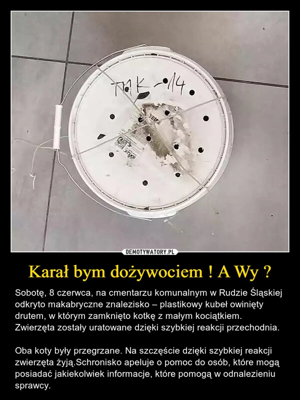 
    Karał bym dożywociem ! A Wy ?