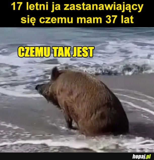 
    Jak to się stało