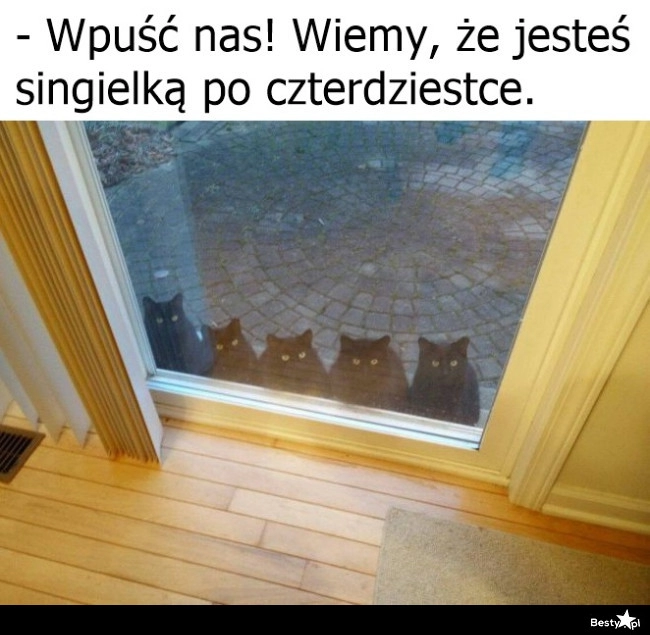 
    Przyszło towarzystwo 